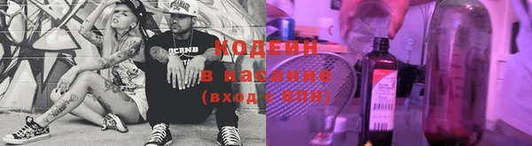 сатива Киреевск