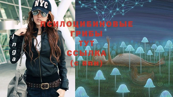 ALPHA-PVP Володарск