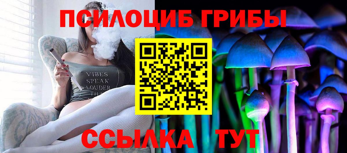 Зерноград  Псилоцибиновые грибы Psilocybe  купить наркотик  Вход с VPN 