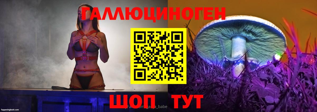 Галлюциногенные грибы Psilocybine cubensis  Зерноград 